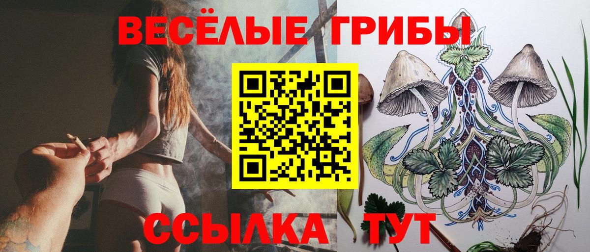 Корсаков  Псилоцибиновые грибы Magic Shrooms  Вход с VPN 