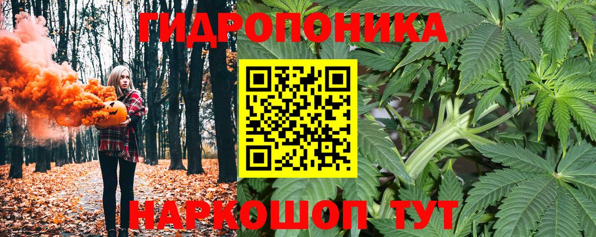 Бошки Шишки семена  Марихуана сатива  Вход с VPN  Корсаков 